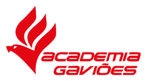 gavioes